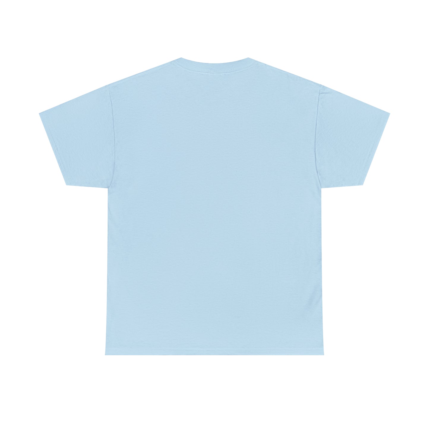 Faded Unisex Heavy Cotton Tee FF500