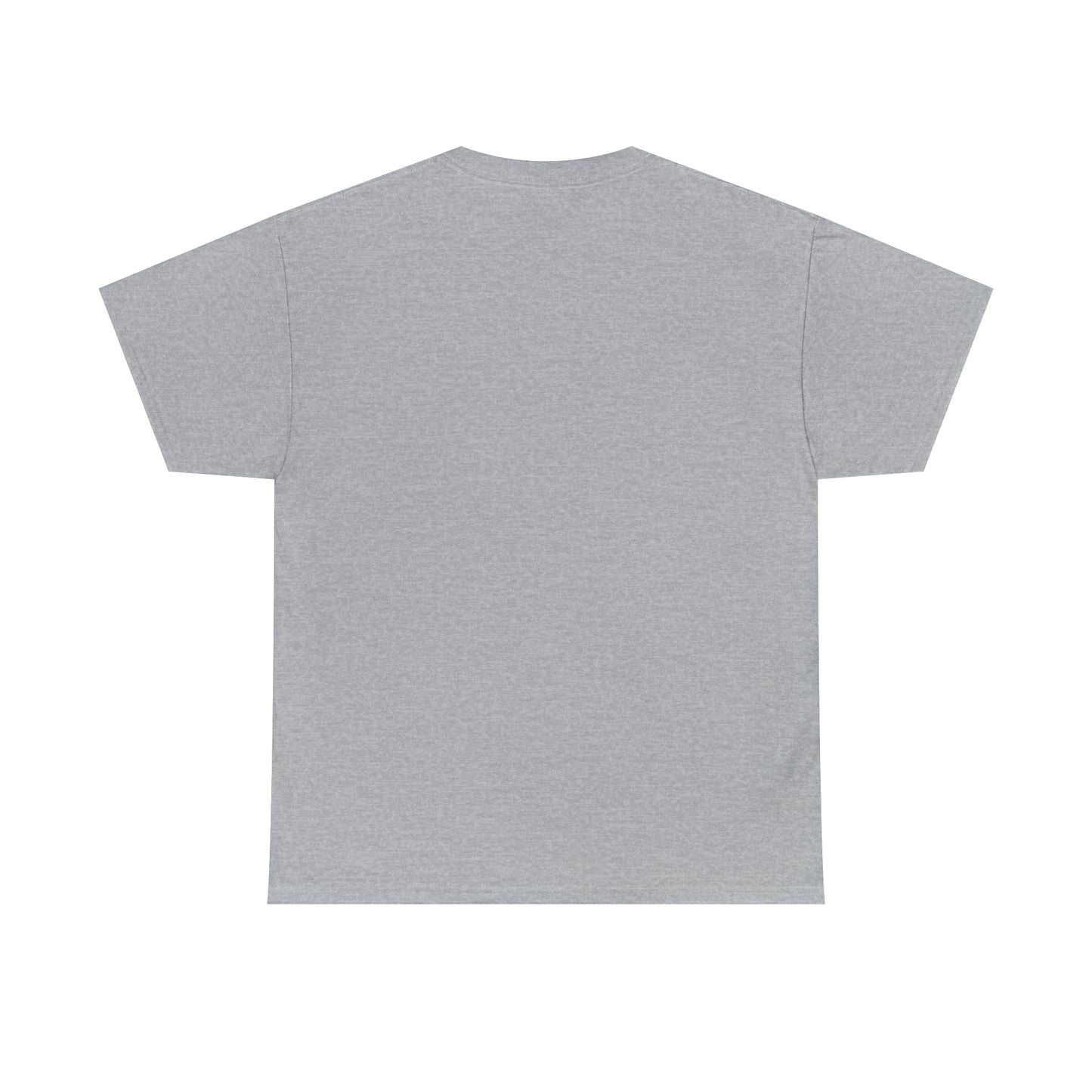 Faded Unisex Heavy Cotton Tee FF500