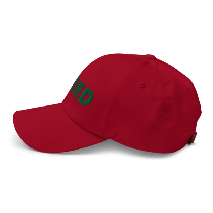 Faded (Green Logo) Dad Hat