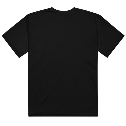 45: Against The World Risk Taker Heavyweight T-Shirt - Faded Fabrics